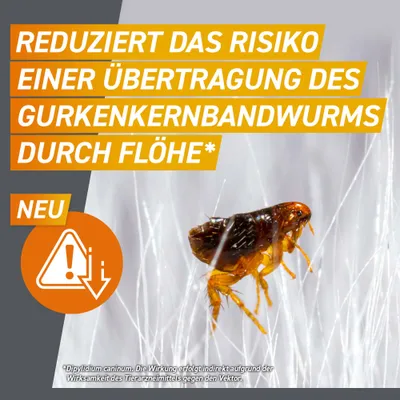 Frontpro Kautablette gegen Zecken und Flöhe, für Hunde >25 bis 50 kg