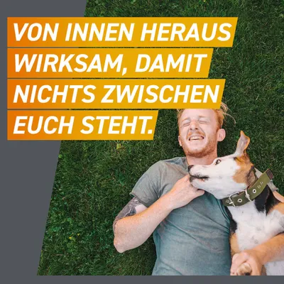 Text: Von innen heraus wirksam, damit nichts zwischen euch steht.