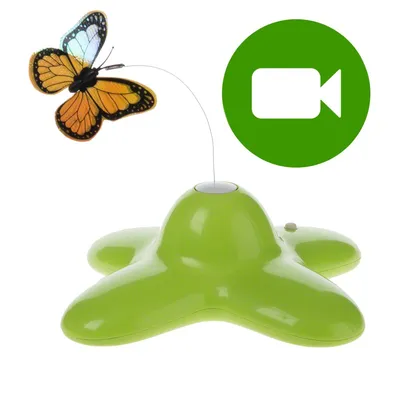 Funny Butterfly, zabawka dla kota