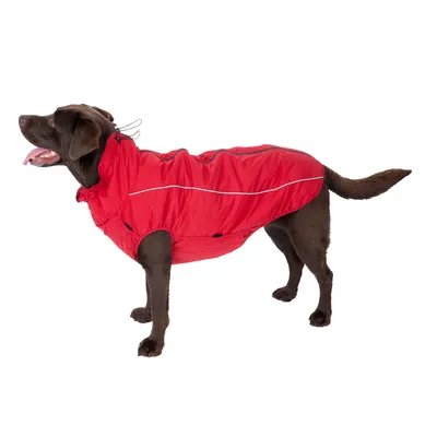 Cane con cappotto rosso con strisce rifrangenti e colletto regolabile. Il prodotto mostra la vestibilità e il design del cappotto per cani.