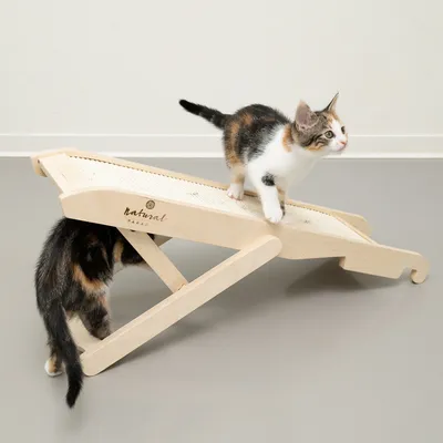 Wooden scratching ramp with sisal surface, brand Natural Paradise. Two cats demonstrate use: one on top of the ramp, the other underneath.