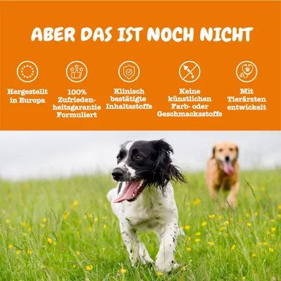 Hergestellt in Europa, 100% Zufriedenheitsgarantie formuliert, klinisch bestätigte Inhaltsstoffe, keine künstlichen Farb- oder Geschmacksstoffe, mit Tierärzten entwickelt.