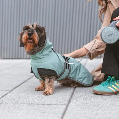Petit chien portant un manteau imperméable vert avec capuche, en laisse extensible de marque Round Tales tenue par une personne assise à côté, chaussures vertes visibles.