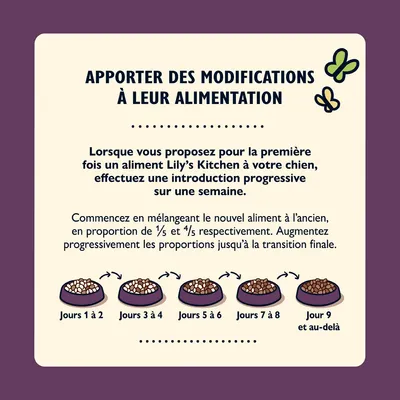 Conseils de transition alimentaire Lily’s Kitchen : mélange progressif du nouvel aliment sur 9 jours, proportions indiquées pour chaque étape, texte explicatif et schéma visuel des bols.
