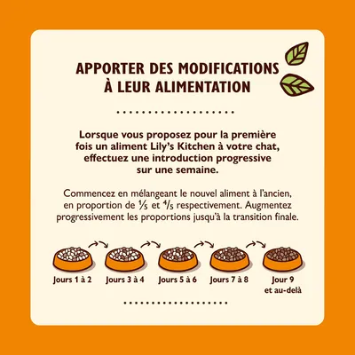 Conseils de transition alimentaire pour chat Lily’s Kitchen : mélange progressif du nouvel aliment sur 9 jours, proportions indiquées par étapes avec illustrations de gamelles.