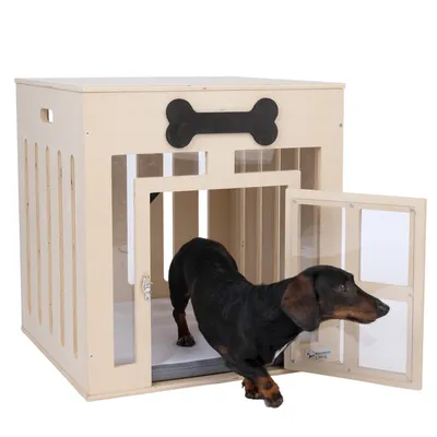 Holz-Hundebox mit Plexiglasfenstern und Knochen-Dekor, offene Tür, Dackel tritt heraus.