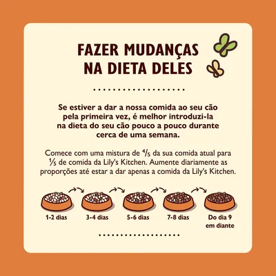 Instruções para mudar a dieta do cão: introduzir comida Lily's Kitchen gradualmente durante uma semana, aumentando a proporção de 1/5 até 100% em 9 dias. Texto em português.