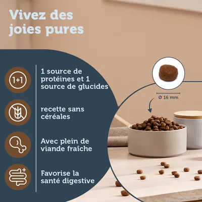 1 source de protéines et 1 source de glucides, recette sans céréales, avec plein de viande fraîche, favorise la santé digestive, croquette Ø 16 mm visibles dans une gamelle.