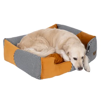 Hund liegt in einem gestreiften und orangefarbenen Hundebett mit gepolsterten Seiten.