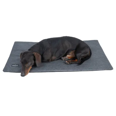 Hund liegt auf grauer Matte mit sichtbarem Markenetikett von Römerturm. Produkt zur Nutzung als Liegefläche dargestellt.