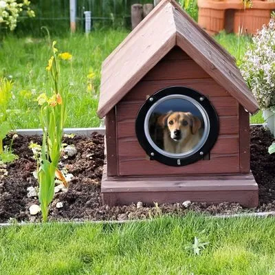 TIAKI Fenêtre de clôture "Gossip Dog"