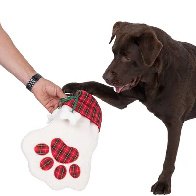 Brauner Hund berührt eine weisse Pfotenförmige Tasche mit rotem Karomuster und grüner Kordel, gehalten von einer Hand.