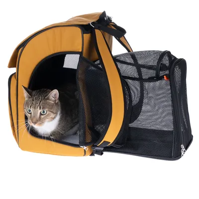 Sac de transport jaune et noir avec panneaux en maille, chat tigré à l’intérieur. Poignée visible sur le dessus, ouvertures zippées sur les côtés.