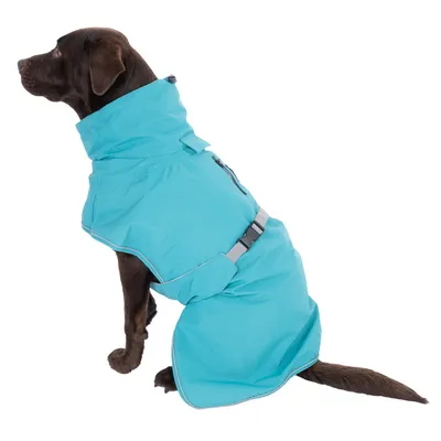 Chien à poil court portant un manteau bleu clair avec fermeture éclair, col montant et sangle grise à boucle en plastique. Aucun logo ou texte visible.