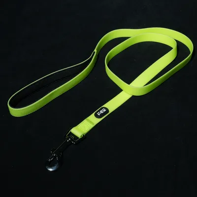 Bright green dog lead with padded loop and black metal carabiner. F.C.K. logo visible on the lead.