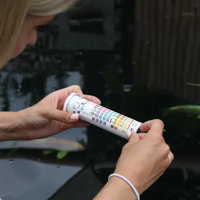 Osoba trzyma pojemnik z paskami testowymi i skalą kolorów do analizy wody nad stawem.