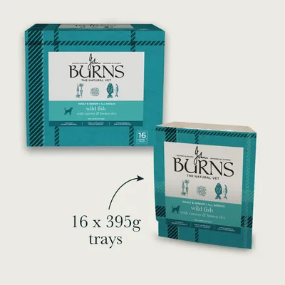 Burns Wild Fish with Carrots & Brown Rice - Bumper Box: 16 x 395g
