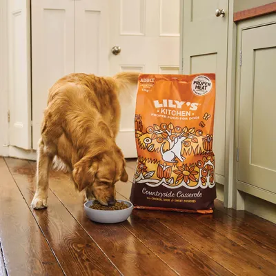 Hond eet uit bak naast zak Lily's Kitchen Proper Food for Dogs Countryside Casserole, Adult, 12 kg, met chicken, duck & sweet potatoes. Op de zak staat 'Proper Meat'.