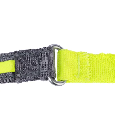 Detailansicht eines Hundehalsbands mit gelbem Nylonband, grauem Verschluss und Metallring.