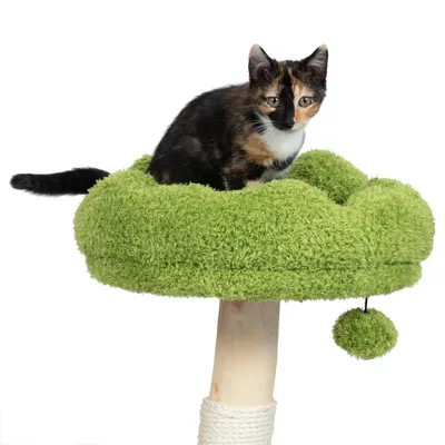 Árbol rascador con zona de descanso verde de felpa y pelota de juego. Gato sentado en la plataforma superior.