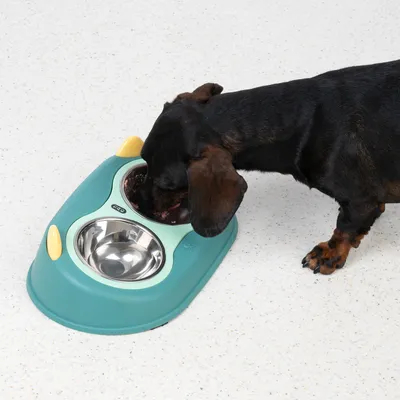 Dog eating from a two-tone feeding bowl with two dishes, one made of stainless steel and one made of plastic.