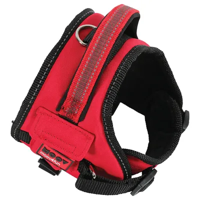 Rotes Hundegeschirr mit schwarzem Rand, reflektierenden Streifen und Metallring. Marke: MoovRun.