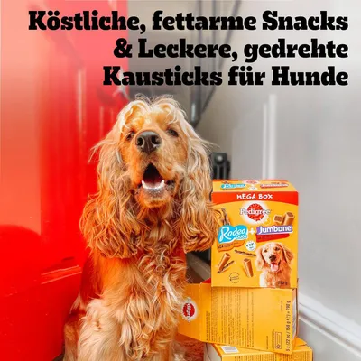 Ízletes, alacsony zsírtartalmú snackek és finom, csavart rágórudak kutyáknak. Pedigree Mega Box Rodeo Duos és Jumbone, 780g.
