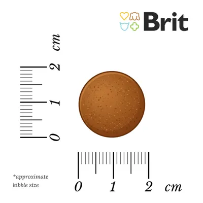 Brit Care Dog Hypoallergenic Adult Large Breed Αρνί & Ρύζι