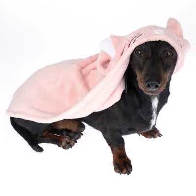 Hond draagt een roze handdoek met capuchon en oren, geschikt als huisdierbadjas of deken.