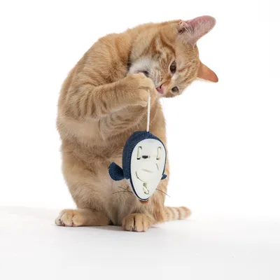 Toy in fish shape with white plastic casing and blue fabric details, attached to a string.