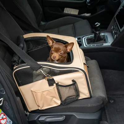 Mała brązowa torba transportowa dla psa z siateczkowymi oknami i kieszeniami, przymocowana do fotela samochodowego. Pies wygląda przez otwór.