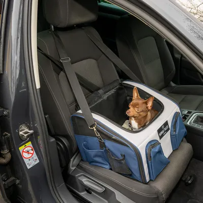 Torba transportowa dla zwierząt na siedzenie samochodowe, zabezpieczona pasem bezpieczeństwa. Pies siedzi w torbie. Marka: World Tales.