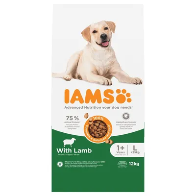 IAMS dog food with lamb, 75% animal protein, DentalCare System, for dogs from 1 year and over 25kg, 12kg pack, without wheat, artificial colours or flavours.