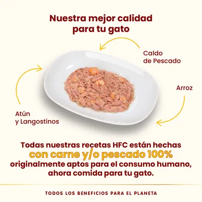 Pack Ahorro Almo Nature HFC 24 x 70 g