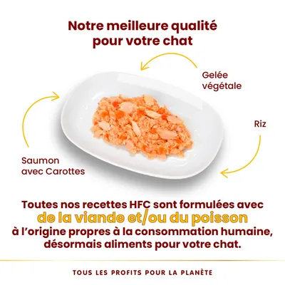 Saumon avec carottes, gelée végétale et riz sur assiette. Texte : Notre meilleure qualité pour votre chat. Recettes HFC formulées avec viande et/ou poisson propres à la consommation humaine.