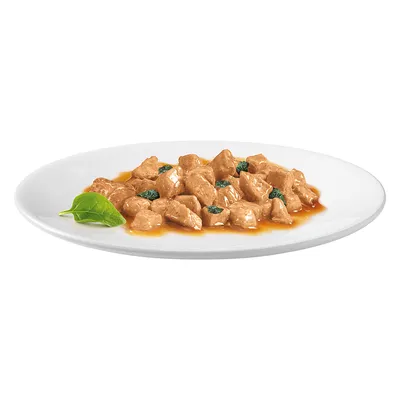 Крупный план сочных кусочков мяса в соусе, поданных на белой тарелке с зелёным листом в качестве гарнира.