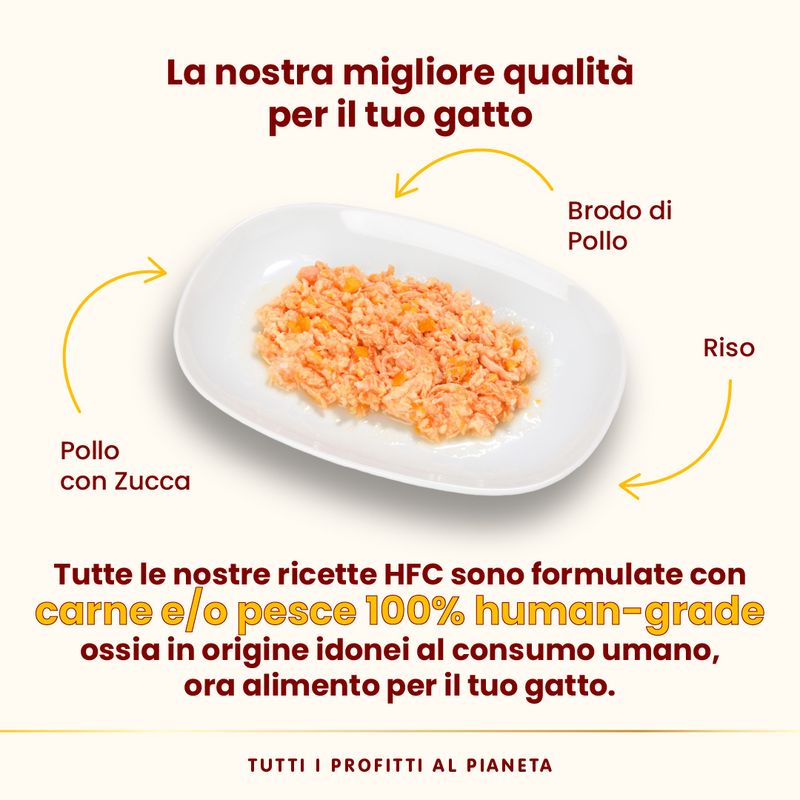 Almo Nature HFC Natural 12 x 70 g umido gatto