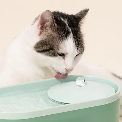 Modern Living itatókút, világoszöld