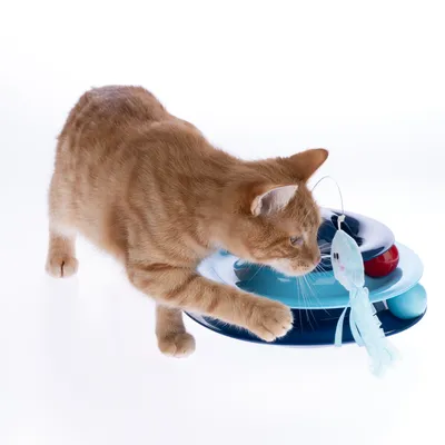 TIAKI Katteleketøy Maneter