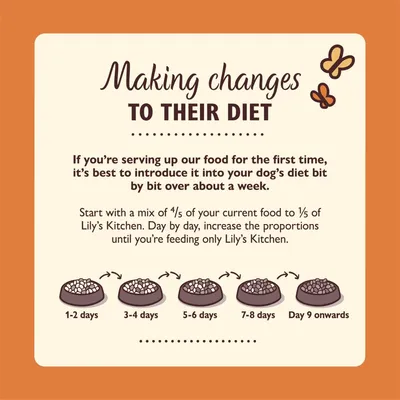 Feeding guide showing how to gradually switch food over about a week: start with mostly current food, increase new food daily until only the new food is served from day 9 onwards.