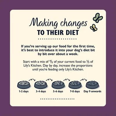 Feeding guide showing gradual change to Lily’s Kitchen food over 9 days, starting with mostly current food and increasing Lily’s Kitchen until fully switched.
