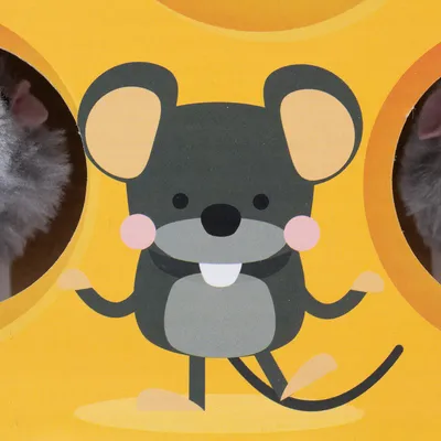 Illustration af en grå mus med lyserøde kinder og gul baggrund. Synlige åbninger viser dele af et plysdyr.