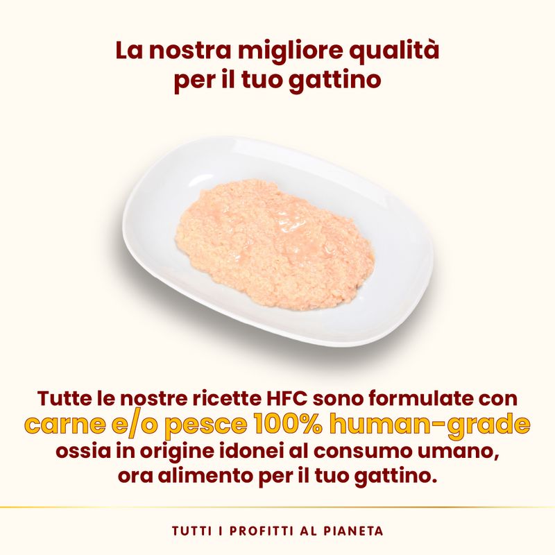 Almo Nature HFC Natural 12 x 70 g umido gatto