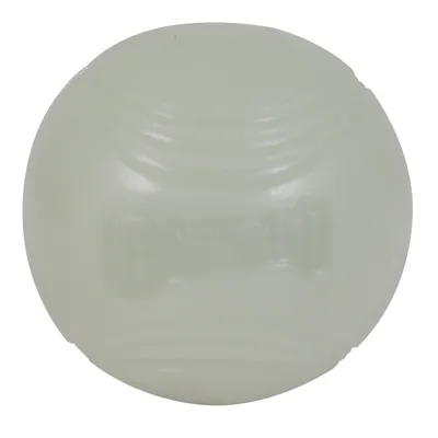 Balle ronde blanche avec le nom de la marque Chuckit! visible en relief sur la surface, matériau plastique apparent.