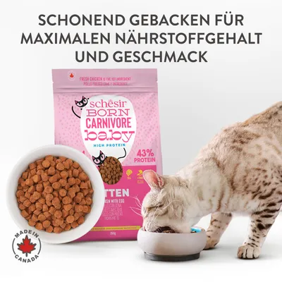 Schesir Born Carnivore Baby High Protein Kittenfutter, schonend gebacken, 43% Protein. Made in Canada. Katze frisst aus Napf, Produktverpackung und Futter sichtbar.