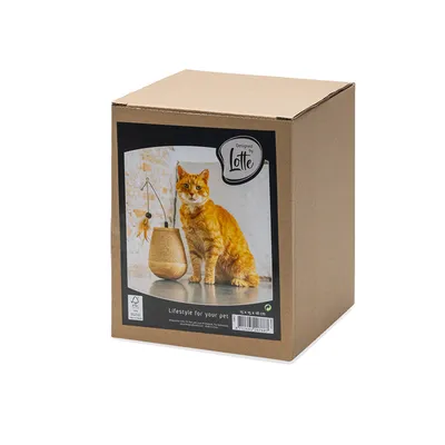Designed by Lotte. Caja con imagen de un gato junto a un juguete rascador de madera y sisal. Texto: Lifestyle for your pet, medidas 16 x 16 x 31 cm.