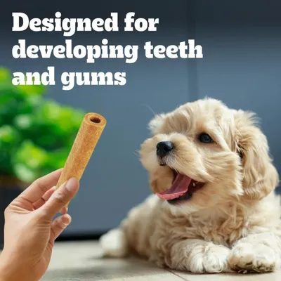 Pedigree Puppy DentaTubos - Saver Pack: 9 Treats (3 x 72g) Pedigree Puppy DentaTubos - Saver Pack: 9 Treats (3 x 72g)