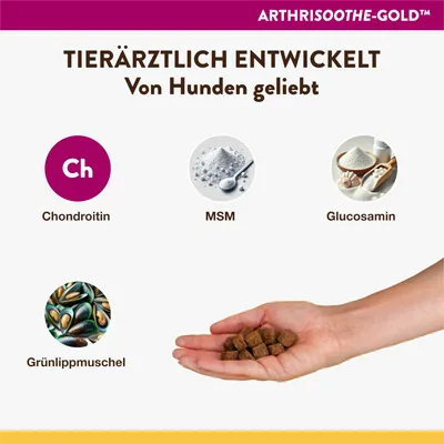 NaturVet ArthriSoothe-Gold Snacks
