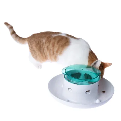 Rote und weisse Katze frisst aus einem weissen Futterspielzeug mit transparentem grünen Deckel, das die Nahrung herausfordernd zugänglich macht.