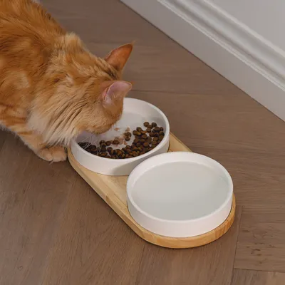 Futterschale aus Holz mit zwei weissen Keramikschalen, eine gefüllt mit Trockenfutter. Katze frisst aus der Schale.